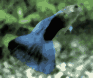 �����������̕���