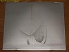 �����ֹ�:251107Q2�ν̾��̿�