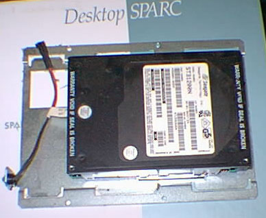 �g�c�c�̎ʐ^