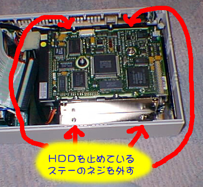 �X�e�[�̃l�W