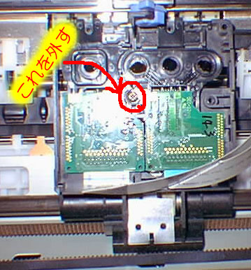 �C���N�w�b�h�̃J�o�[�𔍂���