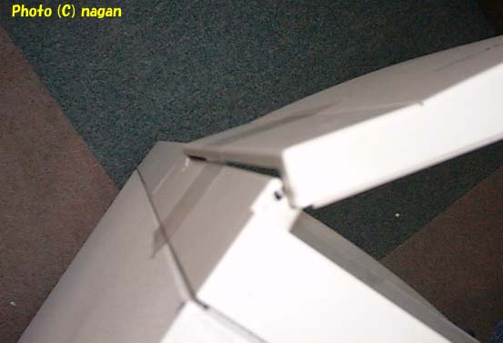 �j�����Ă���q���W����